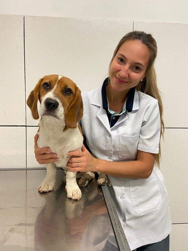 ¿Cuáles son las razas de perros más propensas a infecciones del oído? - Mascotas - ABC Color