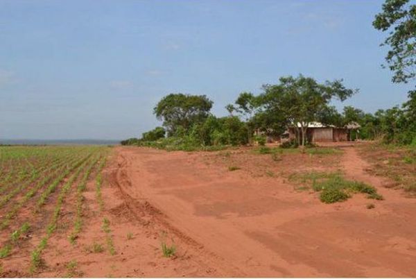 Denuncian homicidio de un campesino por supuesto encargo en Táva Jopói