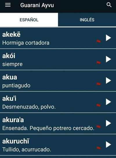 Traductor  “Guarani Ayvu” ya superó las 30.000 descargas - Nacionales - ABC Color