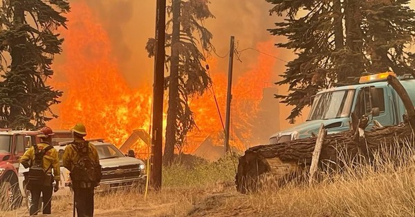 La Nación / California arde: los incendios se meten en la pelea por la gobernación