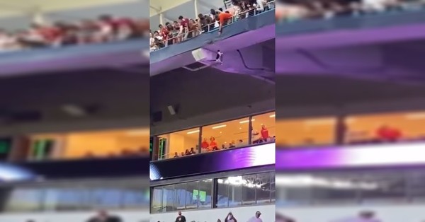 Un estadio completo celebró el rescate de un gato tras caer 20 metros - SNT