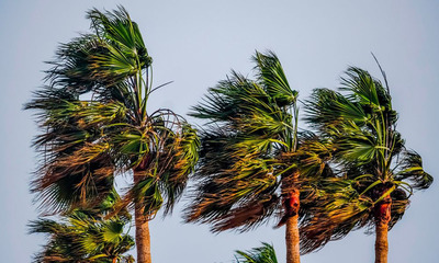 Meteorología registra ráfagas de viento del norte de entre 40 y 80 km/h - OviedoPress