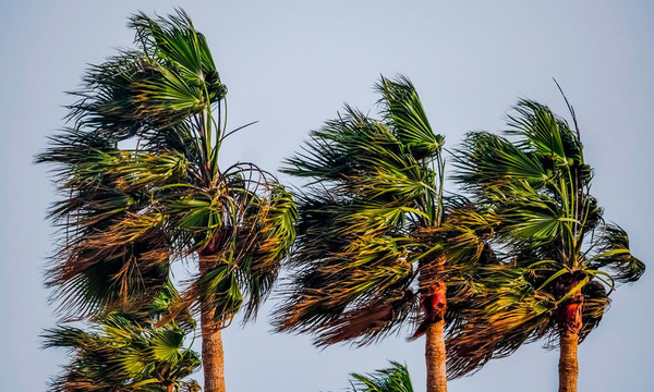 Meteorología registra ráfagas de viento del norte de entre 40 y 80 km/h - OviedoPress