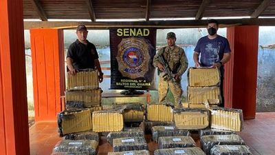 Senad incauta 1.014 kilos de marihuana en la Reserva Morombí