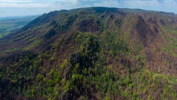 Tierras de Jasuka Venda en riesgo por invasión ecológica