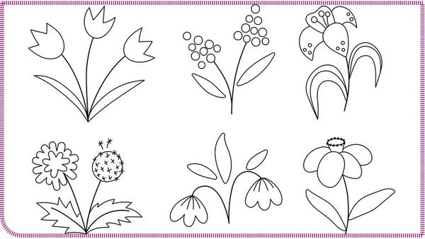 Plantas maravillosas - Escolar - ABC Color