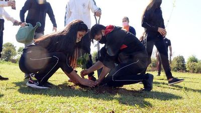 Campaña CDE Respira plantó 4.000 árboles nativos en espacios públicos
