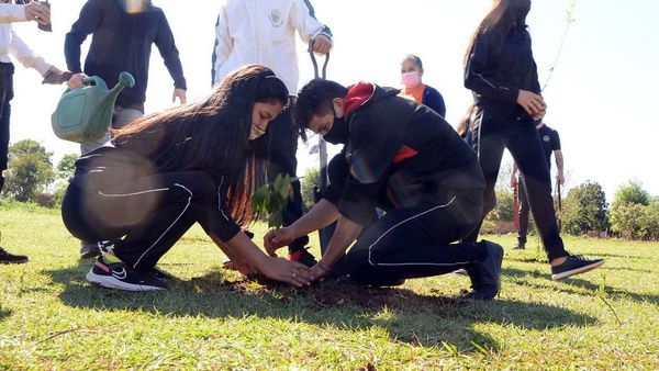 Campaña CDE Respira plantó 4.000 árboles nativos en espacios públicos