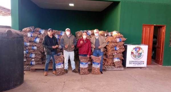 Productores de Misiones incursionan en el rubro de la papa