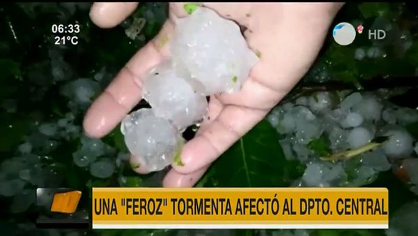 Fuerte temporal dejó techos destrozados y árboles caídos