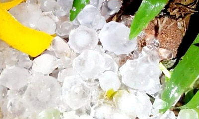 Temporal con granizada deja destrozos en Central - OviedoPress