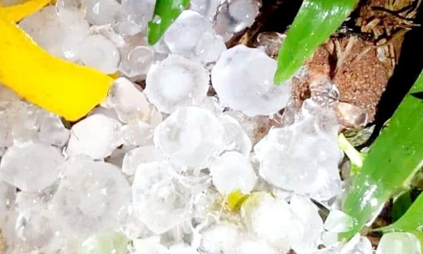 Temporal con granizada deja destrozos en Central - OviedoPress
