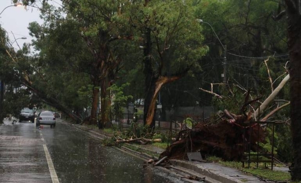 Diario HOY | Temporal: 60 mil usuarios de la ANDE fueron afectados con el corte de luz