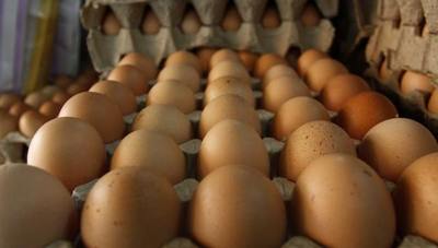 Contrabando de huevos obligó a varias microempresas a cerrar, indican | Ñanduti