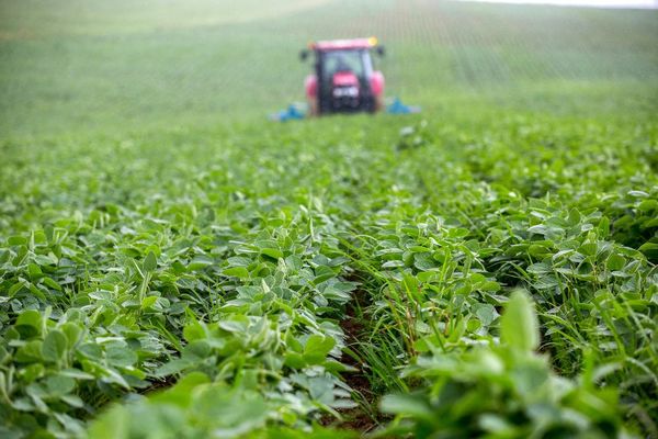 ONU llama a “reorientar” los apoyos a la agricultura que dañen al medioambiente
