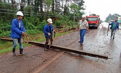 ANDE trabaja para reponer energía eléctrica ante estragos por temporal