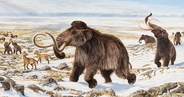 La Nación / Intentarán des-extinción del mamut después de 4 mil años