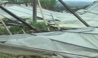 Destructivo temporal azotó el sur del país - SNT