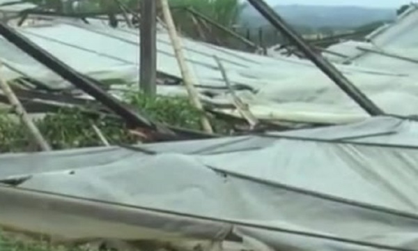 Destructivo temporal azotó el sur del país - SNT