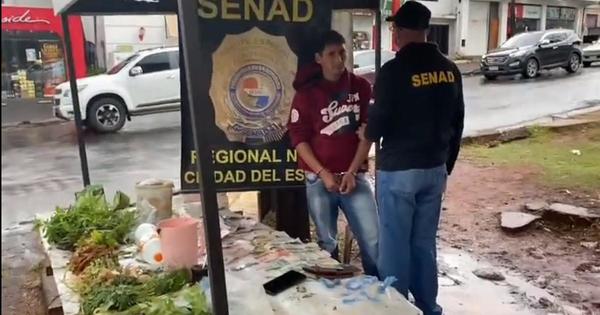 CDE: Utilizaba puesto de ventas de yuyos para vender droga