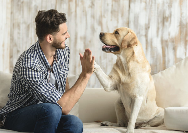 ¿Por qué tu perro te sigue a todas partes? Estos son los verdaderos motivos