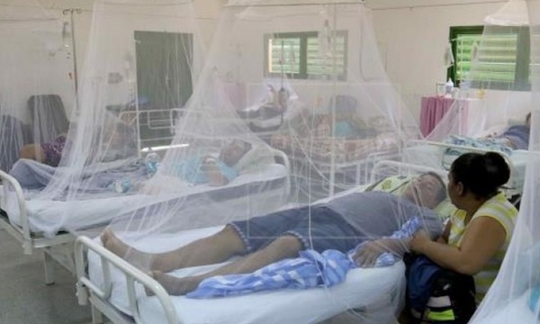 Coronel Oviedo cuenta con 700 casos febriles de Dengue - OviedoPress