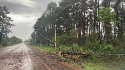 Temporal afectó a 33 líneas de media tensión en Alto Paraná