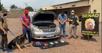 La Nación / Can antidrogas detecta cocaína en un vehículo y dos personas fueron aprehendidas