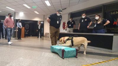 Akira detecta más de 3 kilos de cocaína en el Silvio Pettirossi