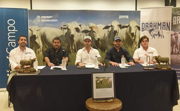 Brahman será la raza con mayor presencia en la Expo Ganadera 2021 - Nacionales - ABC Color