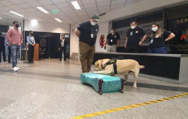 Akira detecta más de 3 kilos de cocaína en el Aeropuerto Silvio Pettirossi