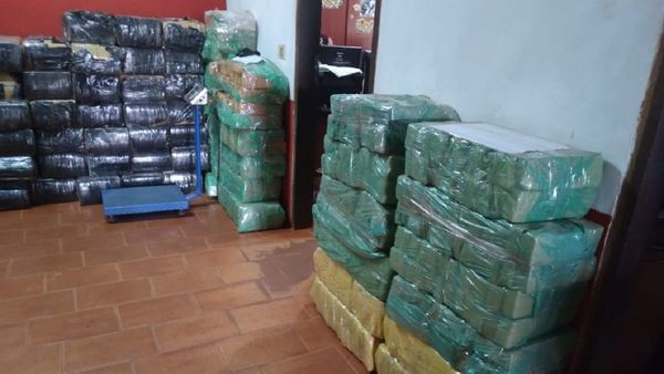 Incautan 352 kilos de marihuana en zona boscosa de Canindeyú