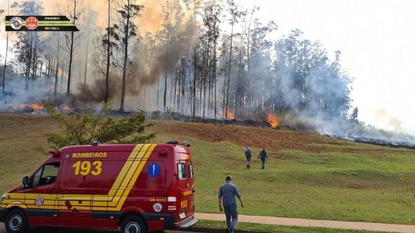 Siete muertos al estrellarse una avioneta en Brasil, entre ellos una familia