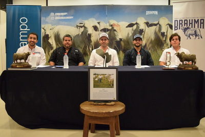 Brahman en la Expo: Asociación espera Gs. 1.500 millones en Remate de las Estrellas