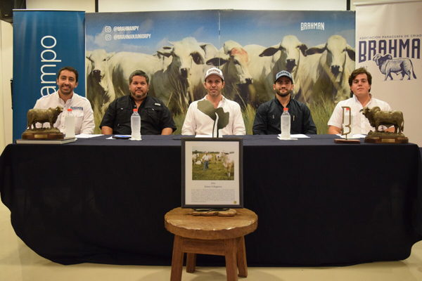 Brahman en la Expo: Asociación espera Gs. 1.500 millones en Remate de las Estrellas