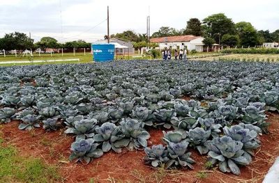Organizarán la Expo Hortipar tras dos años - ABC Rural - ABC Color
