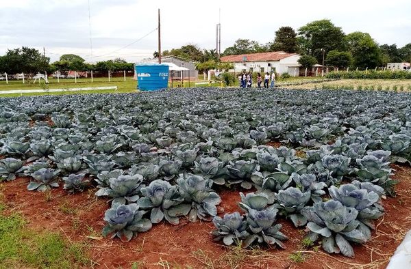 Organizarán la Expo Hortipar tras dos años - ABC Rural - ABC Color