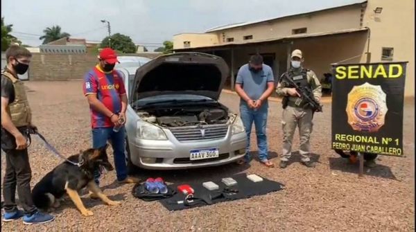 Can antidrogas detecta cocaína en un vehículo y dos personas fueron aprehendidas
