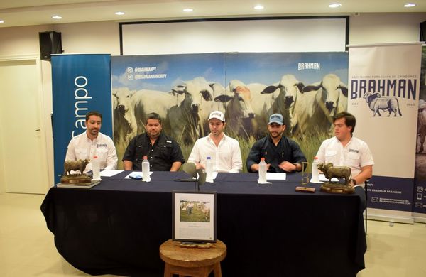 La Brahman proyecta cerca de G. 1.500 millones en negocios en la Expo Ganadera