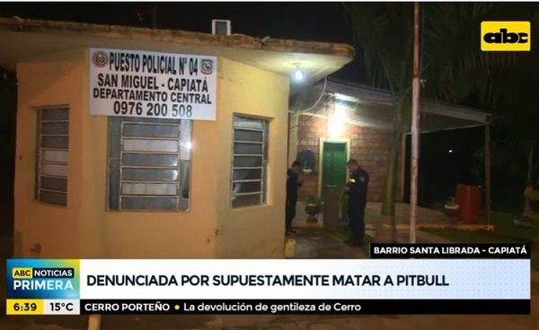 Denuncian a una mujer por “ajusticiar” a un pitbull