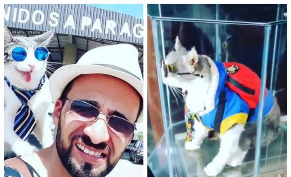 Diario HOY | Disecaron al “gato mochilero”: ahora está en una vitrina