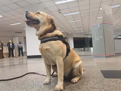 Crónica / Jagua encontró más de 3 kilos de cocaína en una maleta