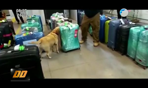Detectan más de 3 kilos de cocaína en aeropuerto Silvio Pettirossi | Telefuturo