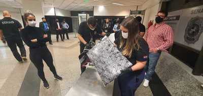 Joven esteña cae con droga en el aeropuerto - La Clave