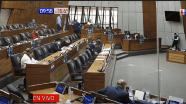 Diputados debaten el retiro de placas conmemorativas de la dictadura | Noticias Paraguay