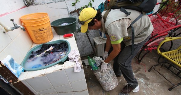 La Nación / Ligero incremento de notificaciones de dengue