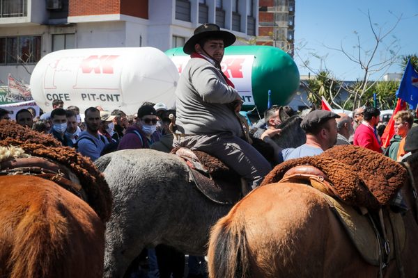 Central sindical uruguaya exhibe su músculo en un acto que juntó campo y ciudad - MarketData