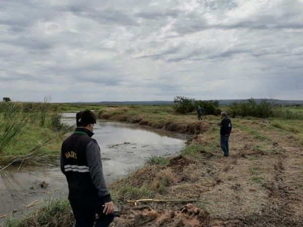 Mades constata canalización que afecta a humedales del Lago Ypacaraí