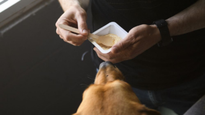 Start-up busca alimentar a perros y gatos sin matar vacas ni pollos