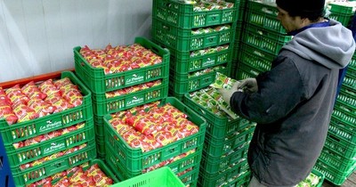 La Nación / Confirman suba de los precios en 29 productos y ahora se suma el gas